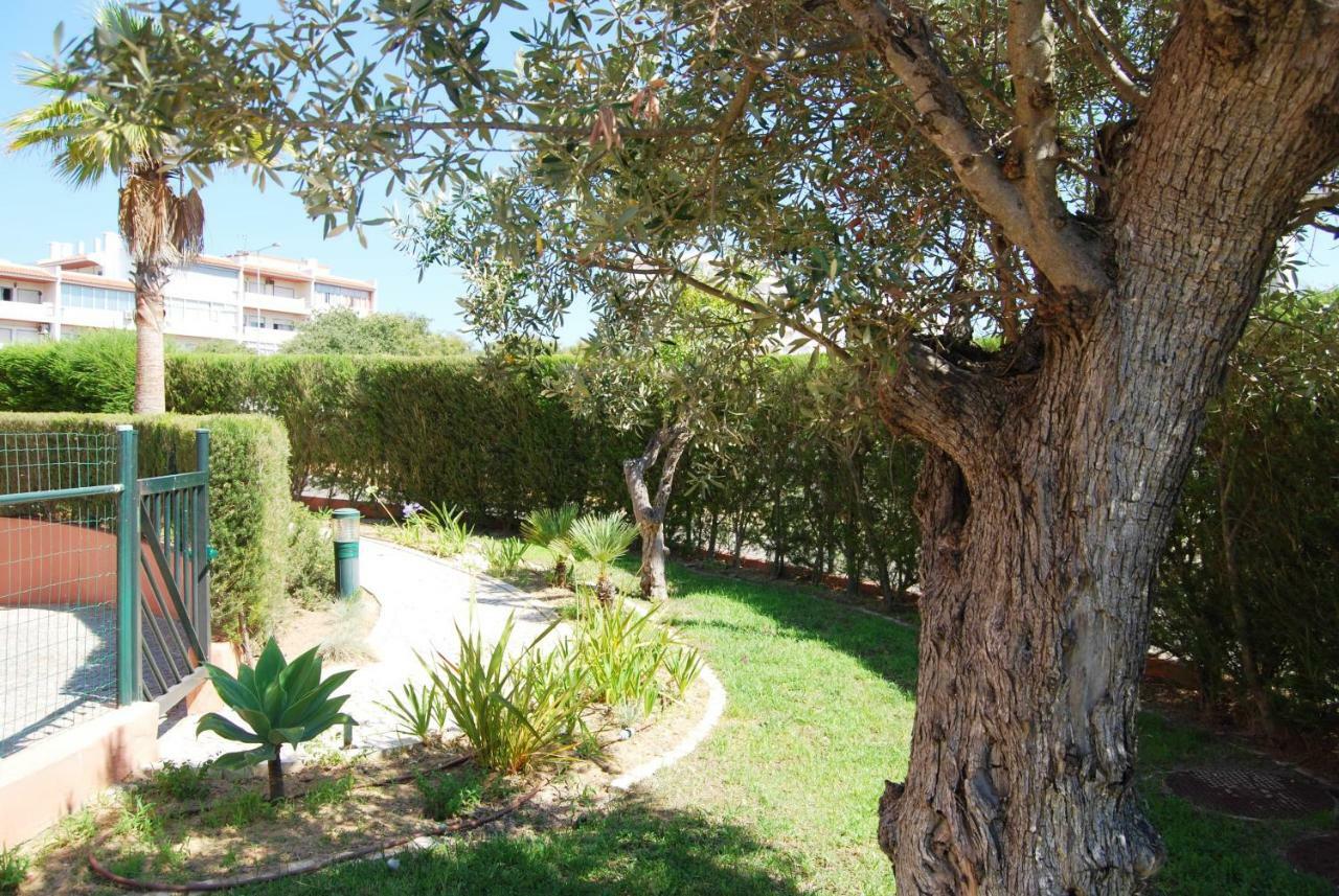 Litoralmar Magic Apartamento *